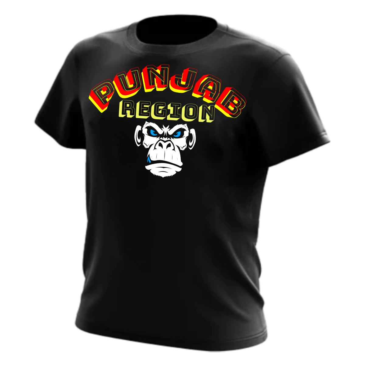 Punjab Region Tee